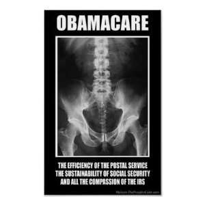  ObamaCare Screwed Protest Poster