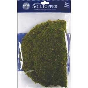  Moss Pot Toppers 10 3/Pkg Green (FS26310) Arts, Crafts 