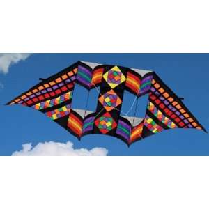  Swept Wing Double Box Delta Kite Toys & Games