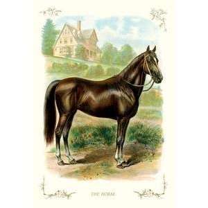  Vintage Art Horse   11212 3