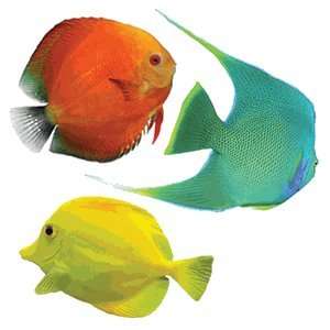  9 Fish Tub Tropical Fish Appliques By Funmade Everything 