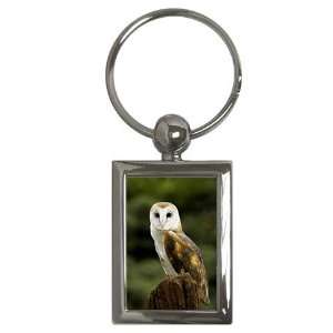  Owl Key Chain