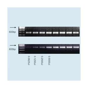 10 minute DNA Kit, 100 Reactions, for DNA Extraction  