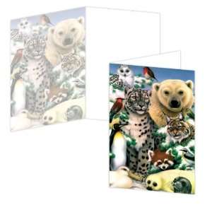  ECOeverywhere Animal Magic Arctic Realm Boxed Card Set, 12 