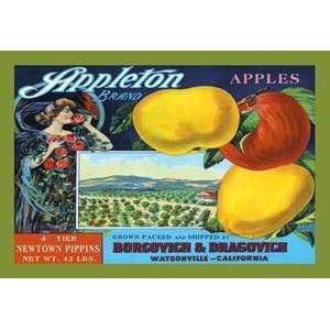    Vintage Art Appleton Brand Apples   12890 9
