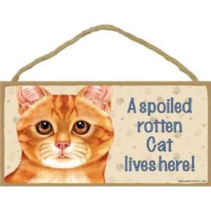  A Spoiled Rotten Cat Live Here Wooden Sign   Orange 
