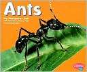  ants, Insects, Kids Books