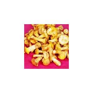   Chanterelle Mushrooms   3lbs  Grocery & Gourmet Food