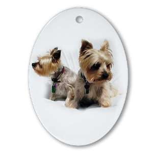  Yorkies Pets Oval Ornament by 