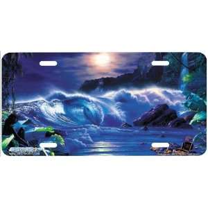 4063 Great Answer Beach Scene License Plates Car Auto Novelty Front 
