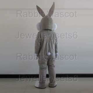 Adult New Easter Bunny Rabbit cartoon mascot costume  