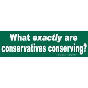  What exactly are conservatives conserving?  Bumper Sticker 