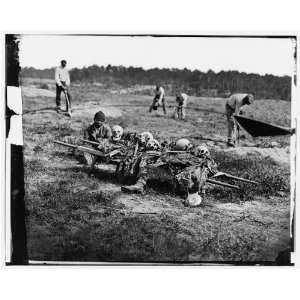   collecting bones of soldiers killed in the battle