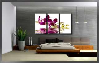 Wandbilder aufhängfertig Orchidee 160cm XXL 3 1132+  