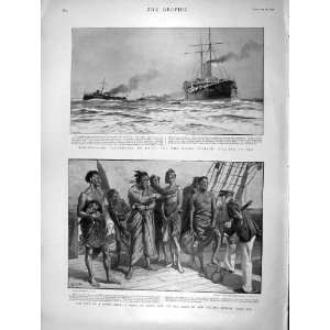  1896 Torpedo Boat China Maori Head Sale Peterborough