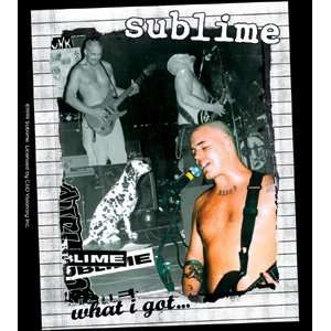  Sublime What I Got Sticker S 0687 Toys & Games