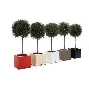  alea flowerpots by extremis