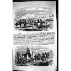  1855 Carrying Sick Frost bitten Soldeirs Balaclava Horses 
