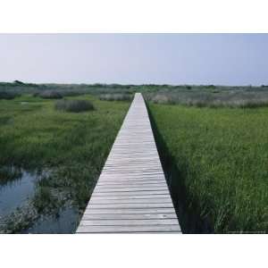  A Boardwalk Allows Visitors to Walk out into the Marsh 