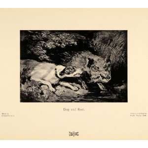  1905 Print Dog Wild Boar Animals Attack Fredk. Taylor B/W 