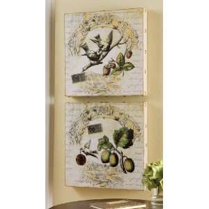  Boxed Botanical Bird Canvas Wall Prints By Collections Etc 