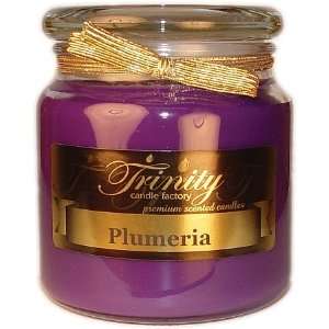  Plumeria   Traditional   Soy Jar Candle   18 oz