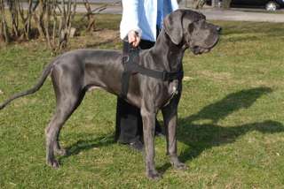 PitBull Medium Durable Black Soft Nylon Dog Harness NEW  