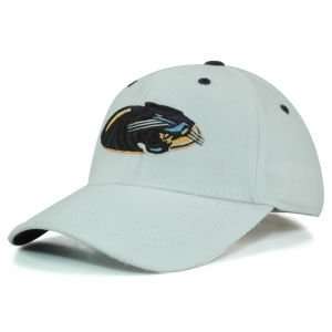  Wisconsin Milwaukee Panthers White Onefit Hat Sports 