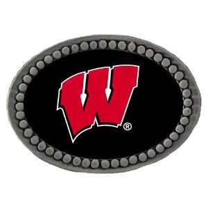   Wisconsin Badgers NCAA Team Logo Pewter Lapel Pin