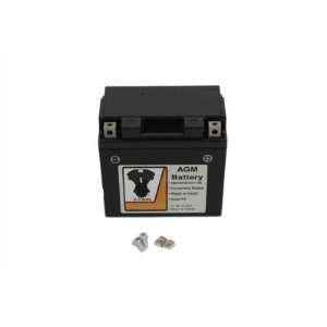 Mini AGM Sealed 12 Volt 6 Amp Cold Cranking Battery Custom Application 