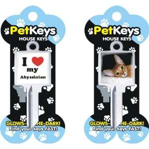  Pet Keys House Keys   I Love My Abyssinian Office 