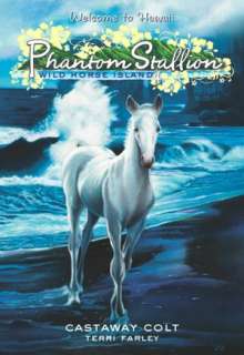   Castaway Colt (Phantom Stallion Wild Horse Island 