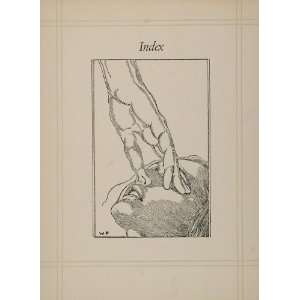  1936 Willy Pogany Woman Head Hand B/W Drawing Print 