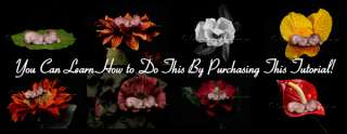 Photoshop Tutorial Babies in Flowers + Images WOW  