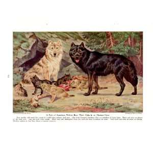   Cave   Wild Dogs and Working Dogs   Walter A Weber Vintage Dog Print