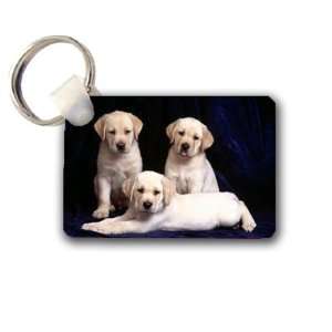 Cute puppies labs Keychain Key Chain Great Unique Gift Idea