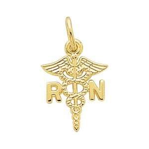  Rembrandt Charms Registered Nurse Charm, 10K Yellow Gold 