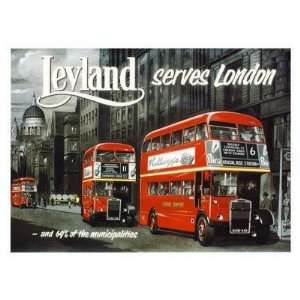    London Buses   Leyland, British Transport   40x30cm