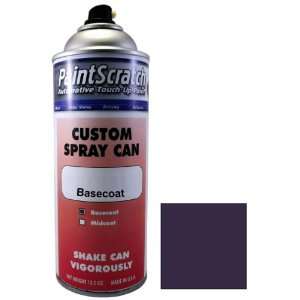  Indigo Blue Pearl Touch Up Paint for 2009 Hyundai Entourage (color