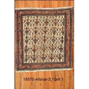  3x4 Hand Knotted Afshar Persian Rug   310x41