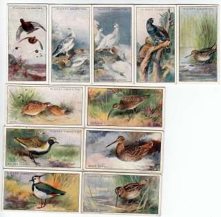 11 Vintage GAME BIRD PAINTING Cards from 1927 QUAIL Snipes Ptarmigan 