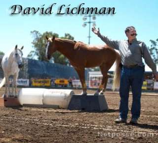 Autographed David Lichman Gaited Horses DVD set  