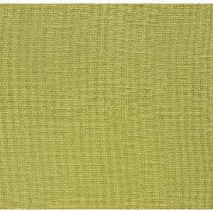  2506 Barnet in Citron by Pindler Fabric