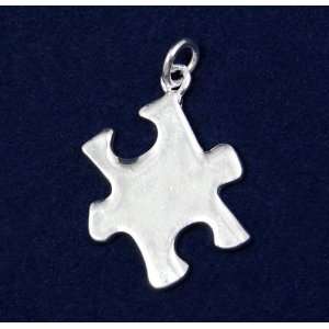  Autism Ribbon Puzzle Piece Charm  (Retail) Everything 