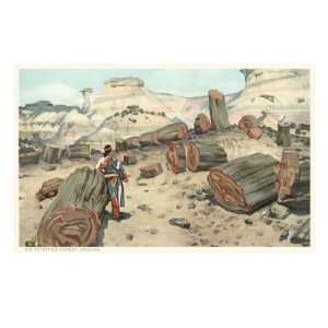  Hopi Indian in Petrified Forest, Arizona Giclee Poster 