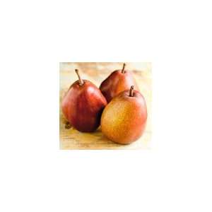 Organic Red Pear Gift Box  Grocery & Gourmet Food