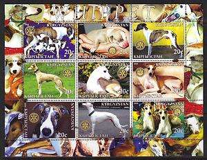 WHIPPET Dog 2004 M/S 9 diff stamps MNH   Greyhound  