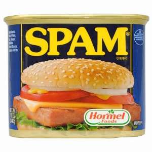 Spam Luncheon Meat   24 Pack Grocery & Gourmet Food
