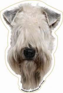 Soft Coated Wheaten Terrier Dog Head Car Magnet /  FOR 