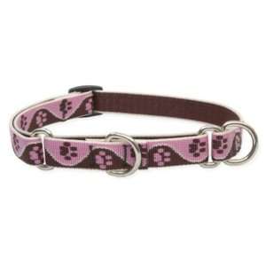  3/4 Tickled Pink 14 20 Combo Collar